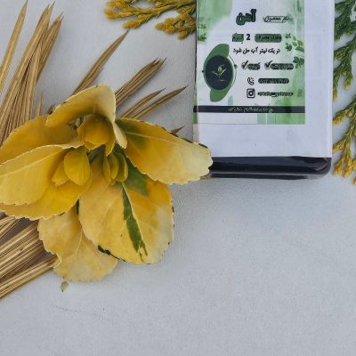 «کود آهن گیاهان با کیفیت بالا برای رفع کمبود آهن و افزایش شادابی برگ‌ها»