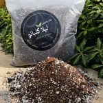 خاک جادویی - لیلاگلبانو