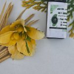 جلبک دریایی با پتاسیم بالا حجم ۳۰ سیسی برای تقویت رشد و افزایش مقاومت گیاهان
