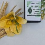 بیورادیکانت اسپانیایی ۶۰ سیسی اصل برای تقویت ریشه گیاهان و افزایش جذب مواد مغذی