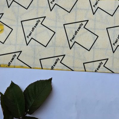 «چسب زرد حشره‌گیر موثر برای جذب و کنترل انواع حشرات مزاحم در گیاهان و باغ‌ها»