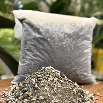 خاک تخصصی کاکتوس