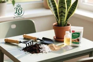 ابزار باغبانی، ترکیب خاک پرلیت، ماسه و خاک گلدان در کنار کود مایع با سانسوریا سالم در پس‌زمینه