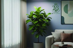 چراغ رشد LED برای نگهداری فیکوس در نور کم