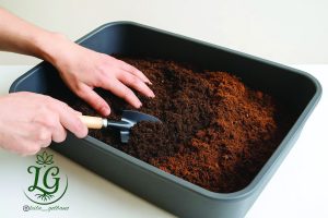 «آماده‌سازی و مخلوط کردن پیت‌ماس و کوکوپیت با ابزار باغبانی برای بهترین خاک دیفن‌باخیا» 