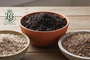 مقایسه انواع بهترین خاک گلدان برای گیاهان خانگی
