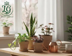 گیاهان آپارتمانی شاداب کنار پنجره با کود ارگانیک