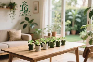 باغ خانگی هیدروپونیک و مزیت کشت بدون خاک در زندگی روزمره مزایای هیدروپونیک 