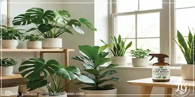 بهترین سم گیاهان آپارتمانی برای حفظ سلامت و شادابی گیاهان خانگی در فضای داخلی