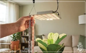 دستی در حال اندازه‌گیری فاصله مناسب لامپ رشد تا گیاه با متر نواری، برای تنظیم دقیق موقعیت لامپ LED مربعی نسبت به گیاه.