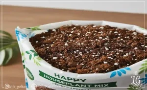نمای نزدیک از خاک آماده گیاهان آپارتمانی با بافت سبک و دانه‌بندی مناسب برای زهکشی و رشد ریشه 